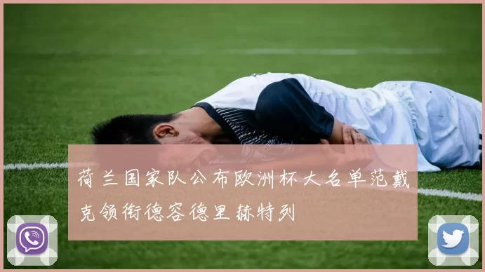 荷兰国家队公布欧洲杯大名单范戴克领衔德容德里赫特列